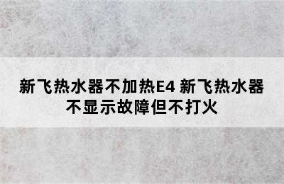 新飞热水器不加热E4 新飞热水器不显示故障但不打火